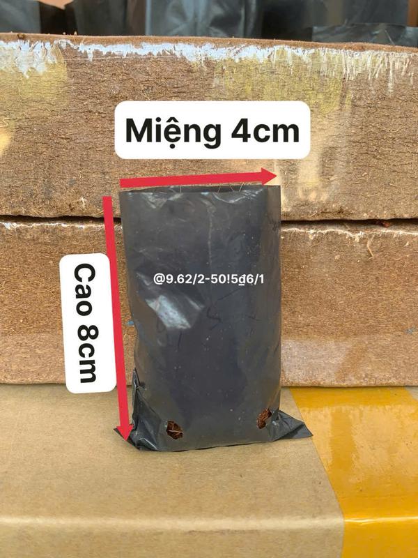 Túi bầu ươm cây loại mỏng dai cỡ nhỏ đổ đất kt tuí miệng 4cm cao 8cm 1kg khoảng 3800 cái