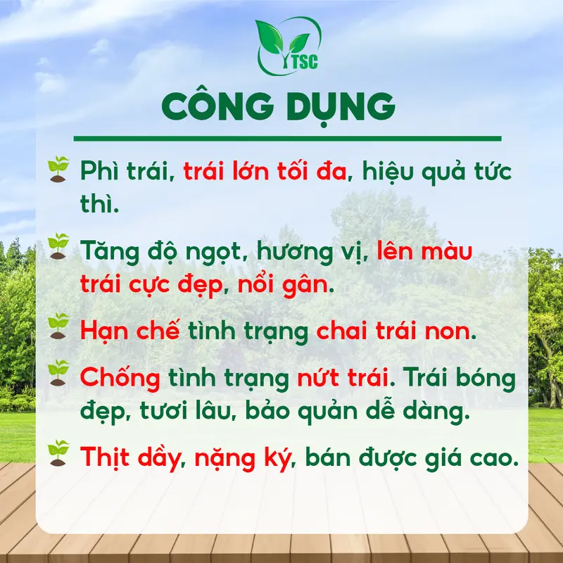 Phân Bón Lớn Trái Mận Thụy Sỹ, Phì Trái Tối Đa, Siêu Nặng Ký, Trái Bóng Đẹp, Mùi Thanh - Chai 1 lít 6