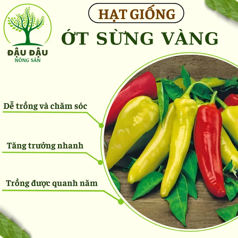 Hạt giống Ớt sừng vàng, Ớt hiểm, Ớt xiêm xanh, Ớt chuông, Ớt sừng ngọt HQ và Ớt ngũ sắc (Ớt cầu vồng) trung đoàn 2