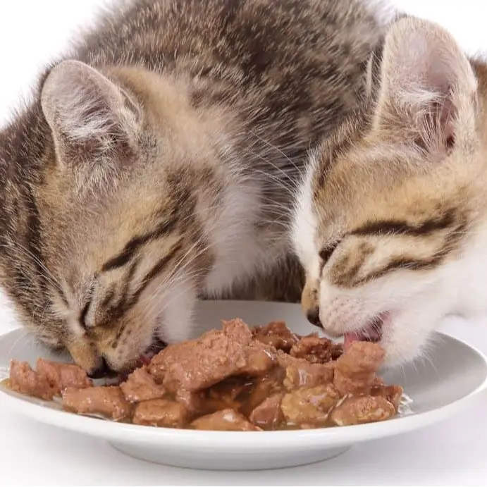 Makanan Basah Kucing MEO 80 GR Kemasan Pouch 2