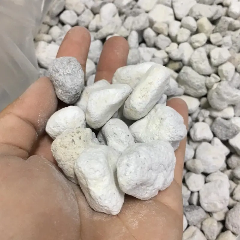1 Lít Matrix Seachem - Vật Liệu Lọc cho Bể Cá - Hồ Thuỷ Sinh 4