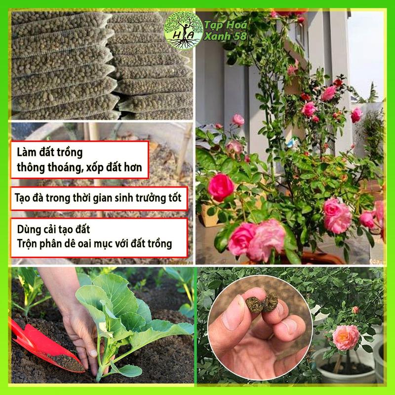 Combo 5 túi phân dê hữu cơ đã qua xử lý, Phân bón hữu cơ làm tơi xốp đất dùng trồng cây 4