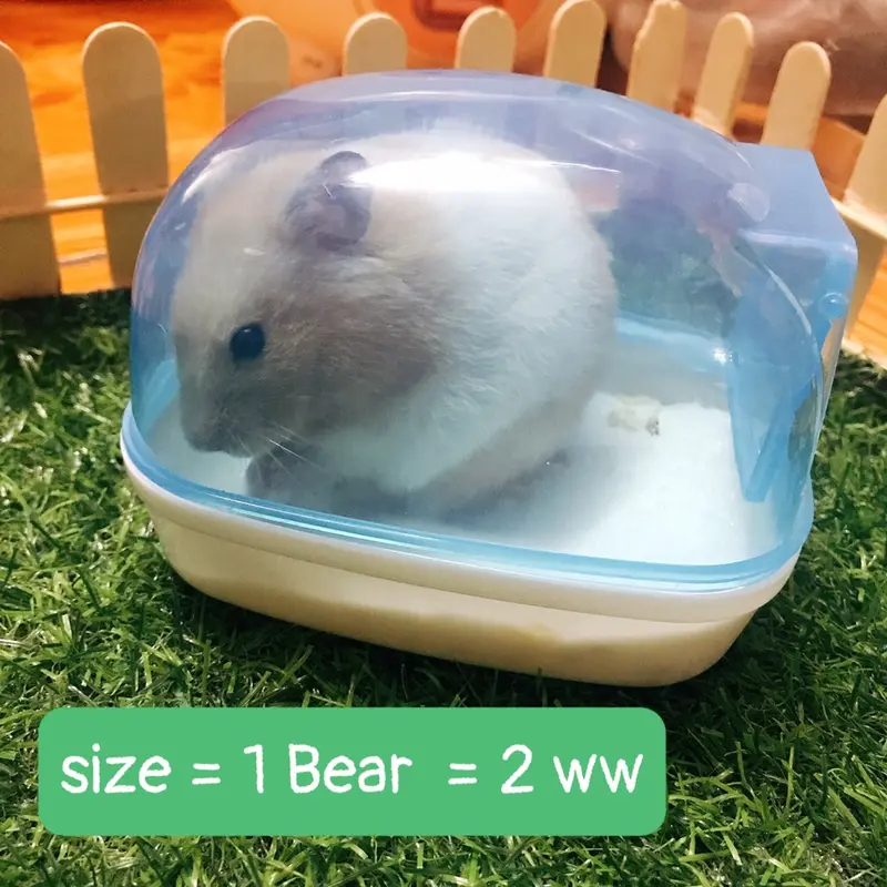 Nhà tắm Hamster size nhỏ, size to trong suốt 2