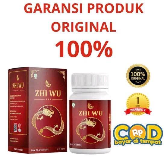 Promo BISA COD ZHI WU ORIGINAL ASLI KAPSUL HERBAL REMATIK ASAM URAT TRADITIONAL CINA BPOM 0