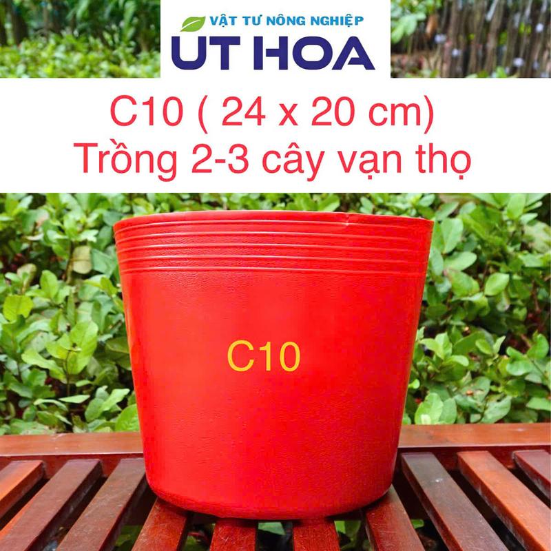 Sỉ combo 10 20 50 100 chậu nhựa đỏ C10 Lớn,Nhỏ trồng cây dày dặn bền chắc không lo nứt vỡ