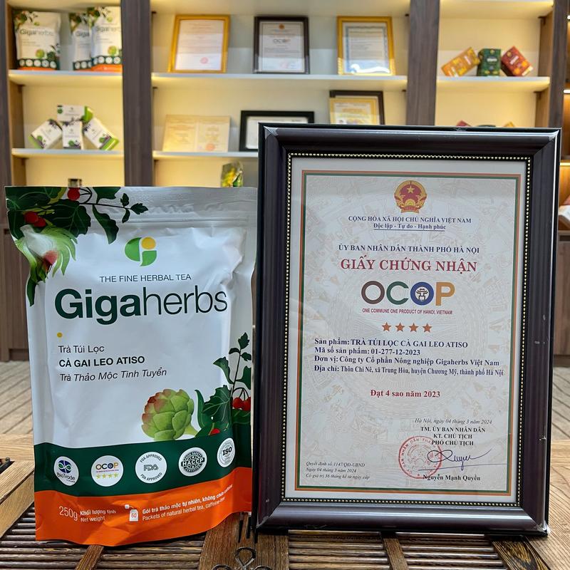 Trà Mát Gan GigaHerbs Túi Zip 250Gram Nước Trà Tea Chè Cà Gai Leo Atiso - Sản Phẩm Chính Hãng 5
