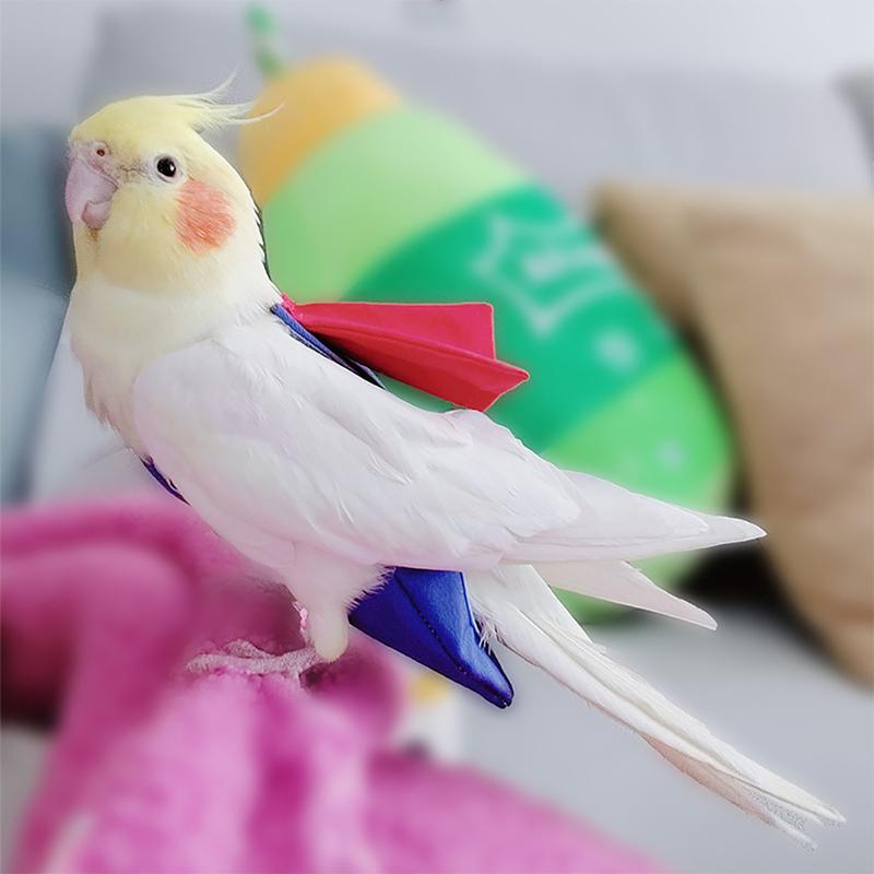 Product Introduction of Super Hero Parrot Diaper Flight Suit Diaper Clothes Parrot Parakeet Pigeon Medium Large Pet Bird #464679 39