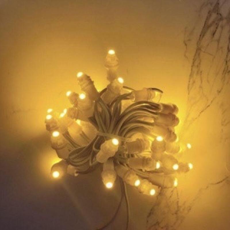 Led đúc F5 12V ngoài trời trang trí quấn cây đủ màu 6