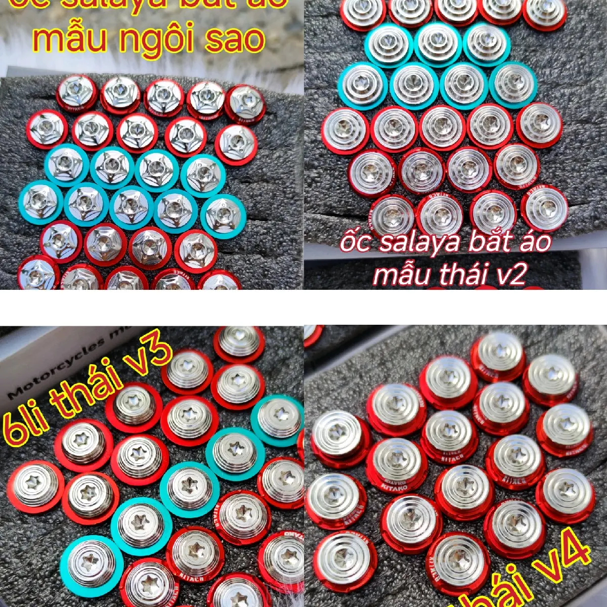 1 CON ốc salaya 6li kèm 1 LÔNG ĐỀN bắt áo các dòng xe  Phụ Tùng Phụ Kiện