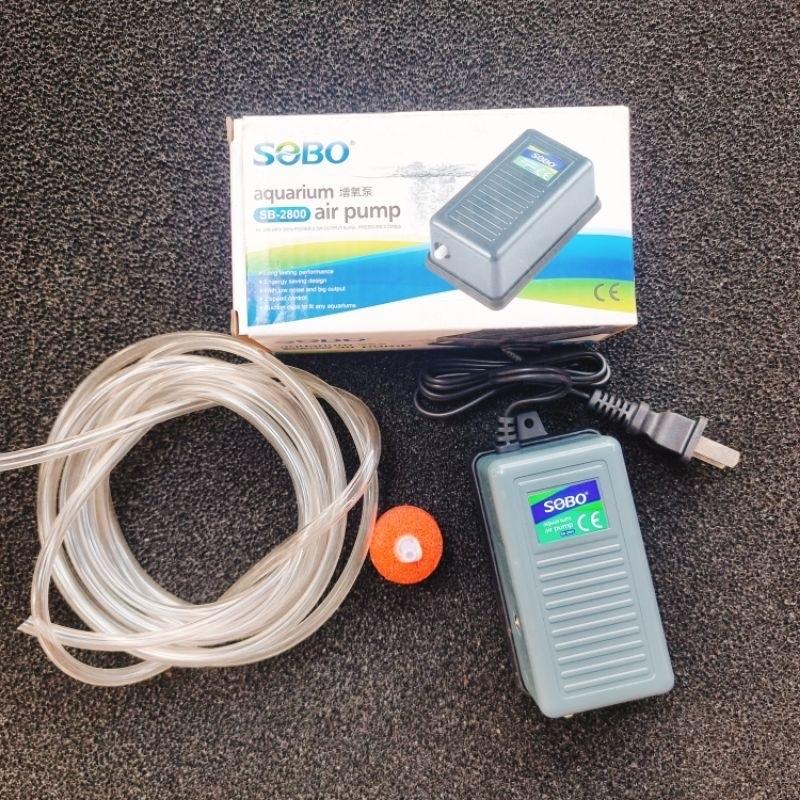 Máy sủi oxy 1 vòi - 2 vòi, 1m dây và 1 đá oxy  (loại tốt).