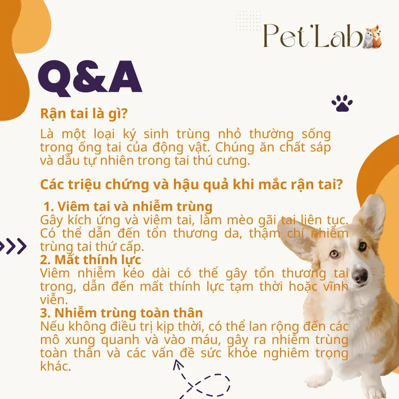 Dung Dịch Nhỏ Rận Tai Cho Chó Mèo PET'LAB có tác dụng làm sạch tai, xử lý rận tai, viêm tai [ Mua 4 lọ tặng 1 lọ ] tặng kèm vitamin + tăm bông. 1