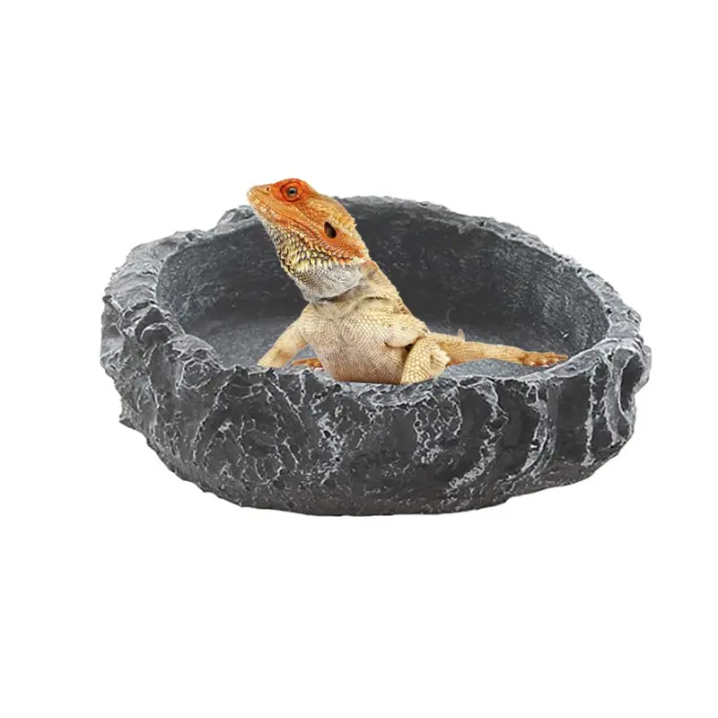 Bát Đĩa Nước Bò Sát Bát Đựng Thức Ăn, Cho Rệp Cắn, Thằn Lằn, Bọ Cạp, Nhện, Rắn Và Rồng, Thích Hợp Cho Bò Sát 0