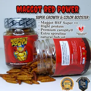 Red maggot kering power 30gr