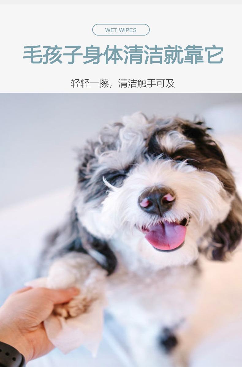 Product Introduction of Hot Sale 100% Bamboo Fiber Pet Cleaning Ear Eye Special Wipes Factory Customized Processing Labeling 3