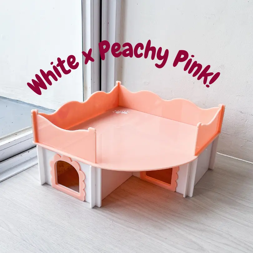 White x Peachy Pink