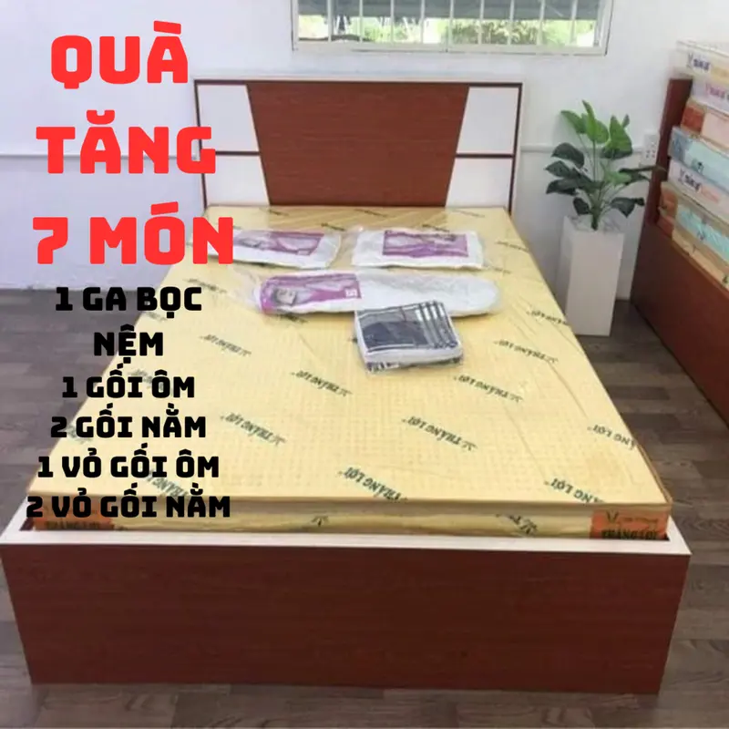 Nệm 1m x 15cm x2m cao su non THẮNG LỢI chính hãng ( quà tặng 7 món ) 0