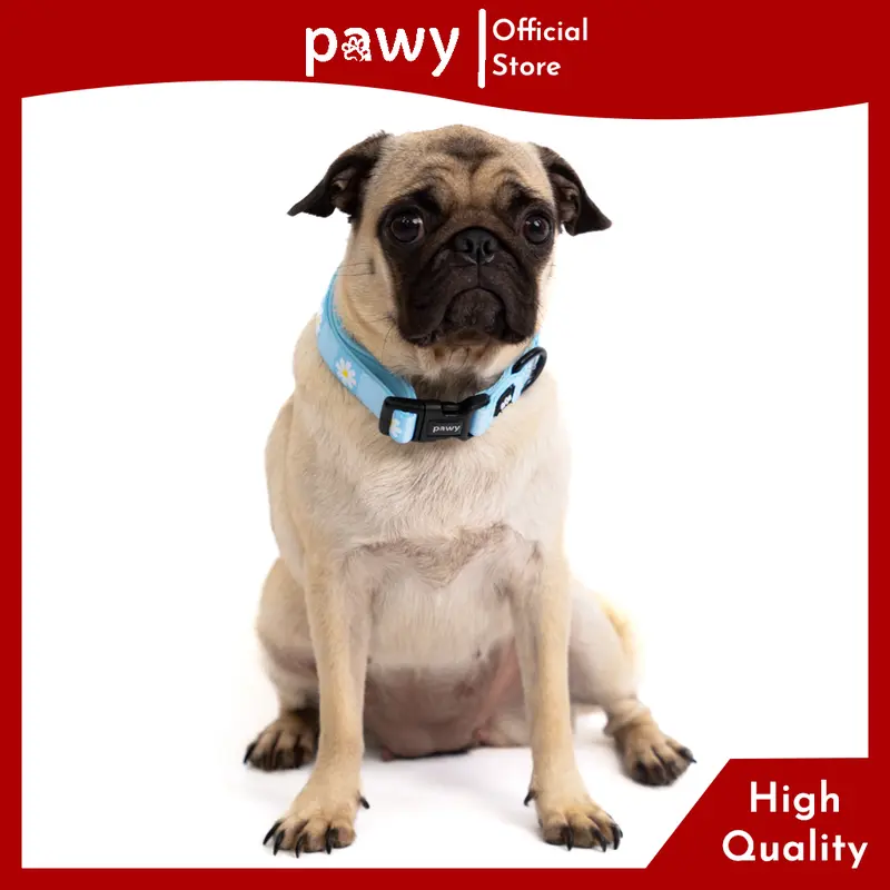 Vòng Cổ Chó Pawy - Daisy On The Sea - Dog Collar 4