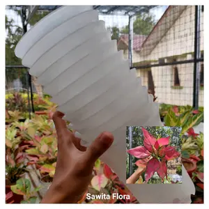 Pot Putih Ag. Ruby Garuda