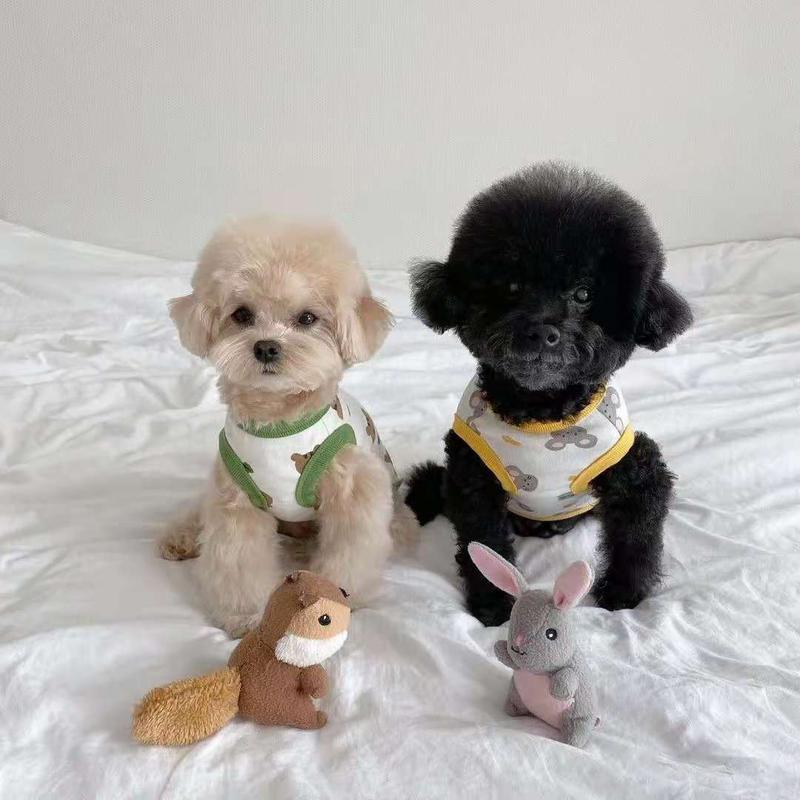 Product Introduction of Áo Vest Cho Chó, Thiết Kế Gấu Bông Teddy, Mèo, Pomeranian, Schnauzer, Chó Nhỏ, Quần Áo Thú Cưng, Thích Hợp Cho Mùa Hè, Hàng Mỏng 7