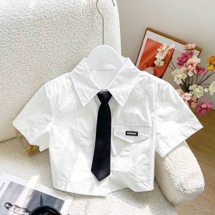 Áo sơ mi croptop tay ngắn vạt ngang kèm cà vạt trắng nữ dễ thương Women