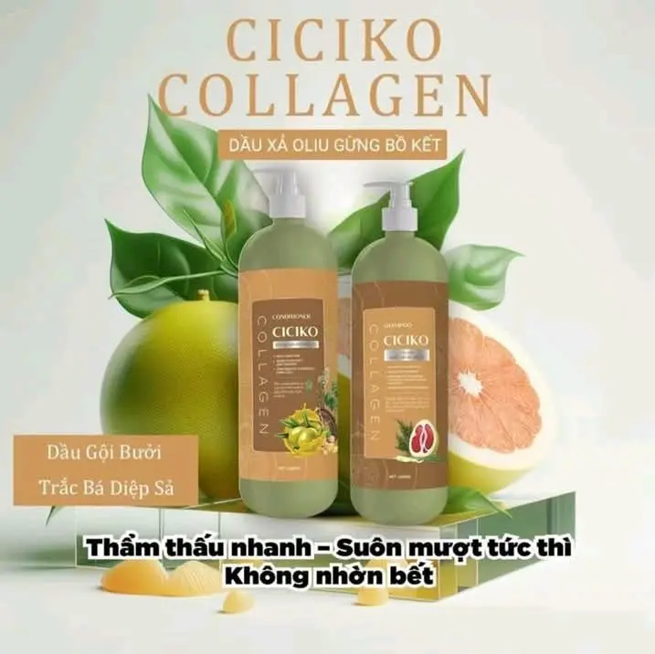 Bộ Gội Xả Bưởi Trắc Bá Diệp Xả