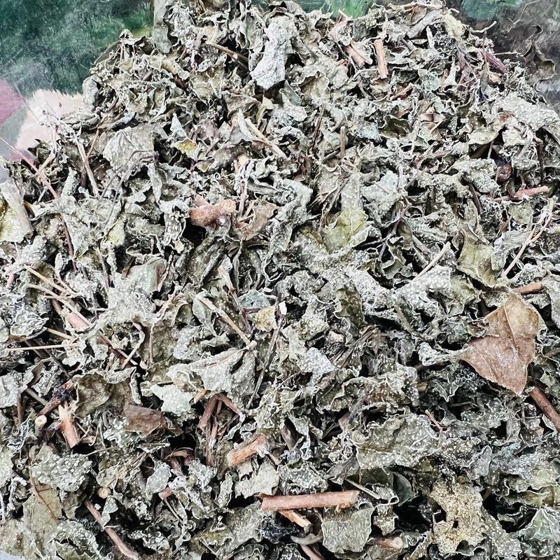Chè Dây Cao Bằng Loại nhiều lá tuyết trắng Tea 4