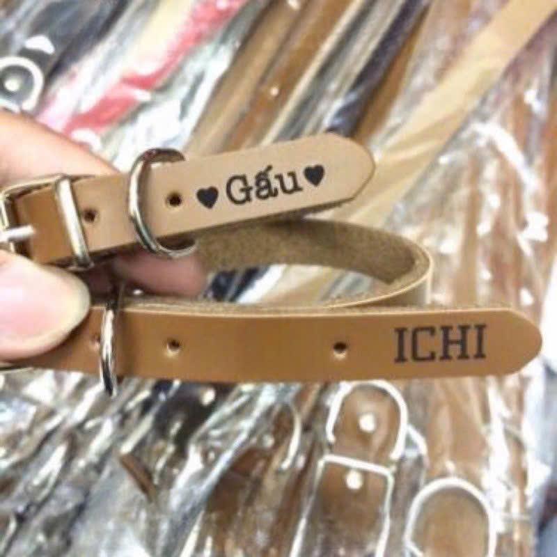Dây da gắn tag đồng và tag bạc khắc tên cho chó mèo | Mozzi