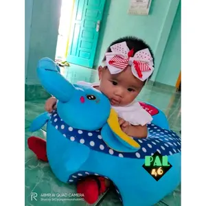 Sofabayi Belajar Duduk / Bayi Baru Lahir 3-12 bulan