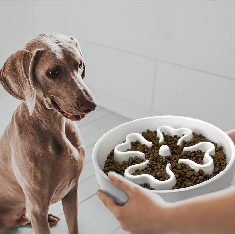 Dog dishes to slow down eating hotsell