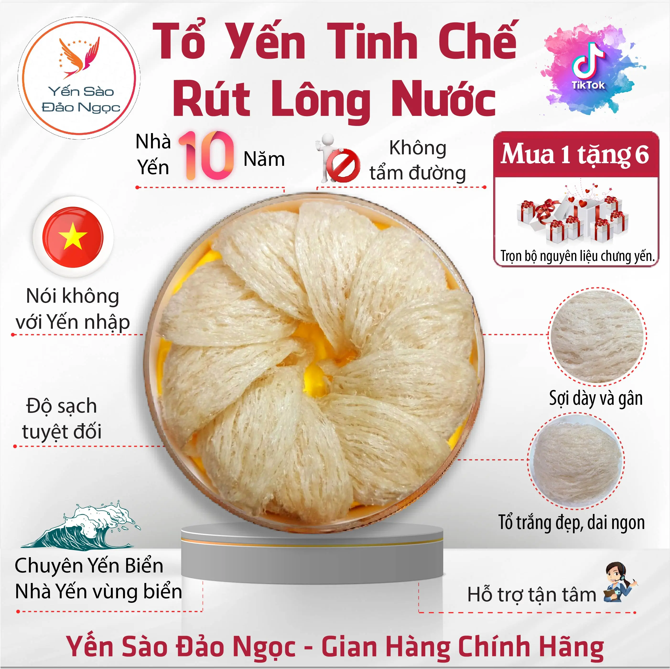 Tổ Yến Rút Lông Nước - Yến Biển - Thương Hiệu Yến Sào Đảo Ngọc