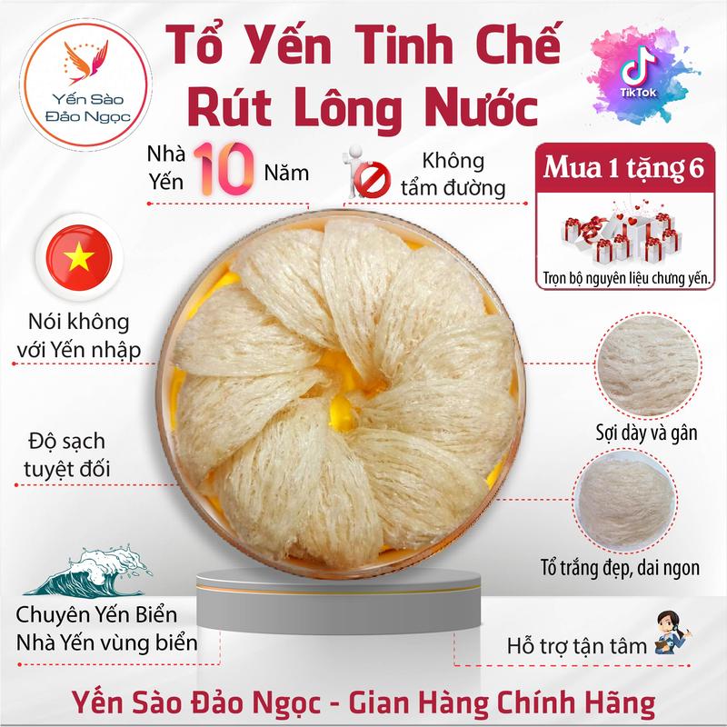 Tổ Yến Rút Lông Nước - Yến Biển - Thương Hiệu Yến Sào Đảo Ngọc