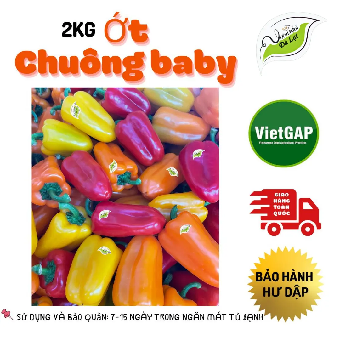 2kg Ớt Chuông Baby ngọt giòn mọng nước - Vườn Nhà Đà Lạt - ngành rau