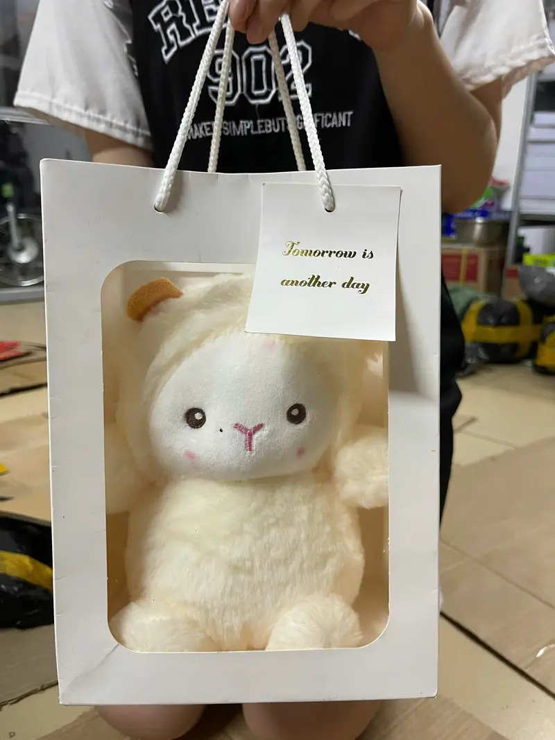 Sét quà tặng gấu bông Cừu trắng đáng yêu tặng Bạn bè, bạn thân, người yêu món quà tặng sinh nhật ý nghĩa - Đồ Chơi - Toy