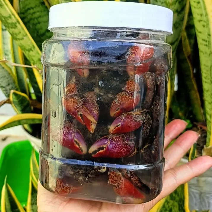 1kg Ba khía muối nguyên con chưa trộn đặc sản Cà Mau