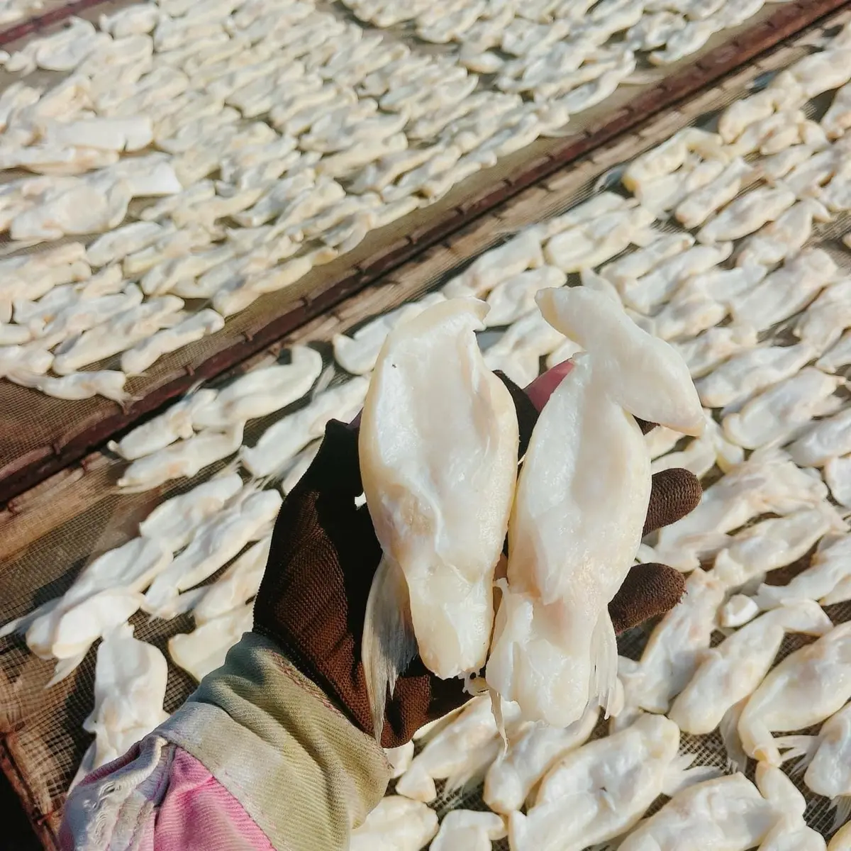 Ức mở cá dứa ngắn hàng khô ba nắng vị Lạt vừa ăn được đóng gói (0,5-1kg)(ko gửi miền Bắc)