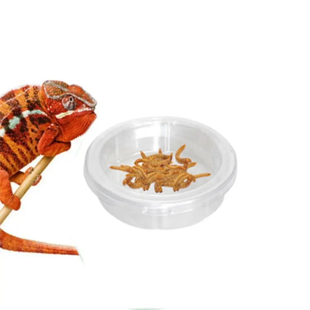 5pcs Durable Transparent Lizard Food Bowl Plastic Round Reptile Feeding Dish Reptile Terrarium Spider