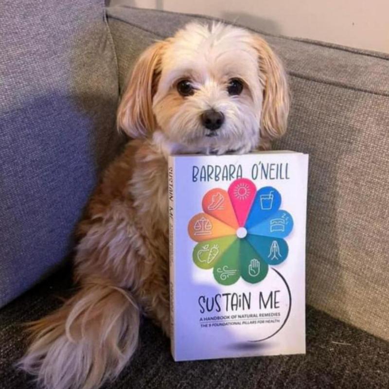 Sustain Me Book, Natural Remedies Book Guide, Sustainable Living Book, School & Educational Supplies, Office & Supplies,  Funny Gift 3