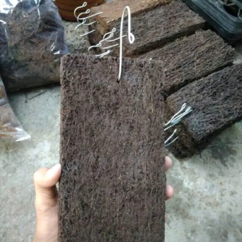 Papan pakis ukuran 15x7 cm (kecil)