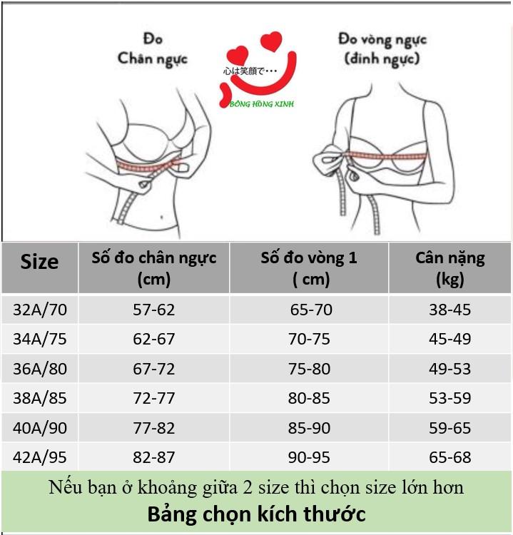 Product Introduction of combo 3 áo lót cúp trơn đệm 3 cm dành cho v1 nhỏ cúp A Nữ Áo Ngực Bra 0