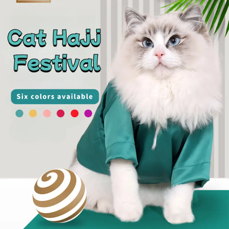 green emerald velvet dress Little Princess Cat Dress