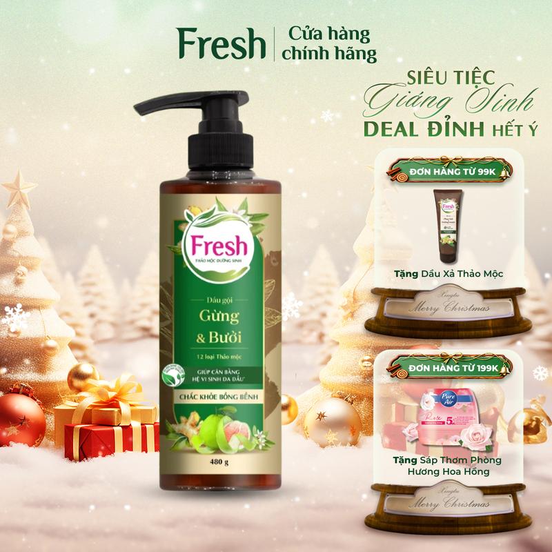 Dầu Gội Fresh Thảo Mộc Dưỡng Sinh - Chắc Khoẻ Bồng Bềnh Với Chiết Xuất Gừng Và Tinh Dầu Bưởi 480g
