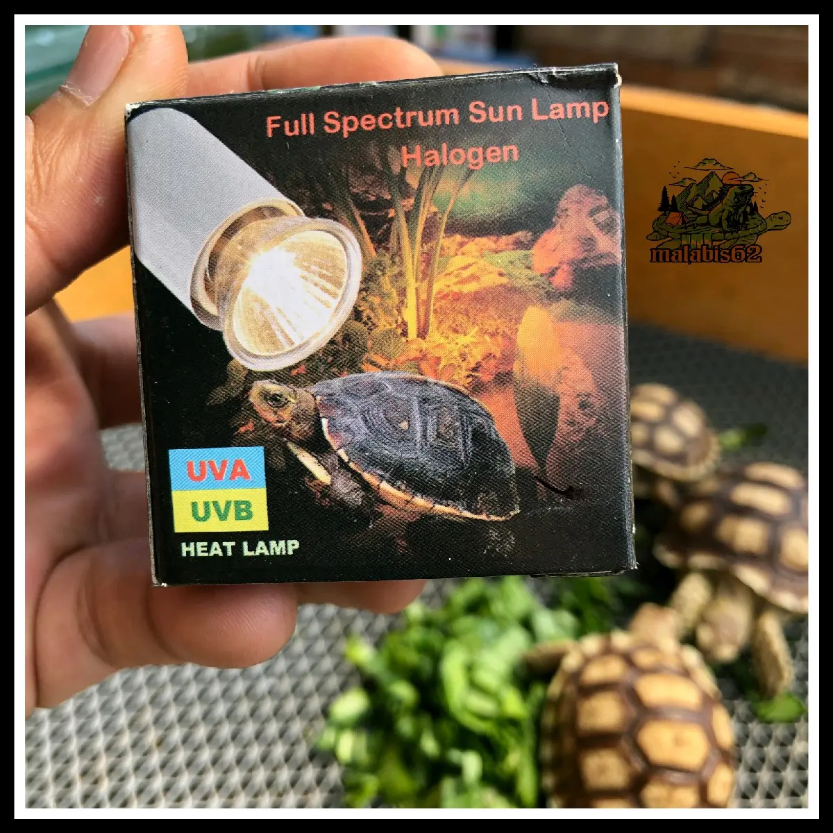 Lampu UVA & UVB Reptile Torto