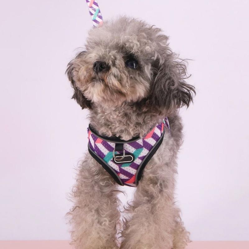 Product Introduction of Dogs Harness Vest Polyester Dog Harness and Leash Set Soft Comfortable Dog Harness with Traction Leash Printed Prevent Escape Cat Chest Strap For Puppy Cats 10
