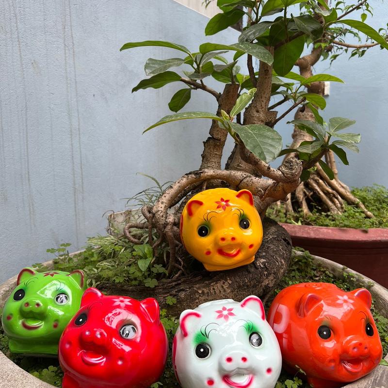 Lợn đất tiết kiệm mẫu Pi size nhỏ 7