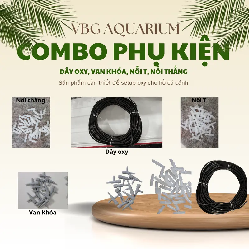 Nối Chữ T Hoặc Nối Thẳng, Van Khóa T Hoặc Khóa L Hỗ Trợ Đường Dây Oxy Trong Bể Cá Cảnh 0