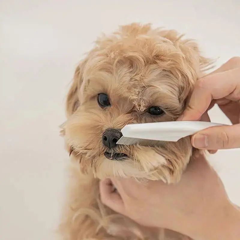Lược Chấy Chăm Sóc Thú Cưng, Bảo Vệ, Cho Mèo Và Chó, Làm Bằng Thép Không Gỉ, Thoải Mái, Thích Hợp Để Chải Lông Chấy, Tẩy Lông Thú Cưng, Tẩy Lông Cho Chó 0