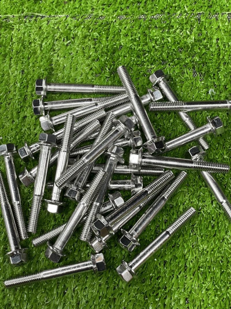 Product Introduction of Ốc Salaya 6li Trụ , Ốc Lốc Máy 6li10 - 110 3