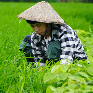 Shop Lộc Nông Thôn