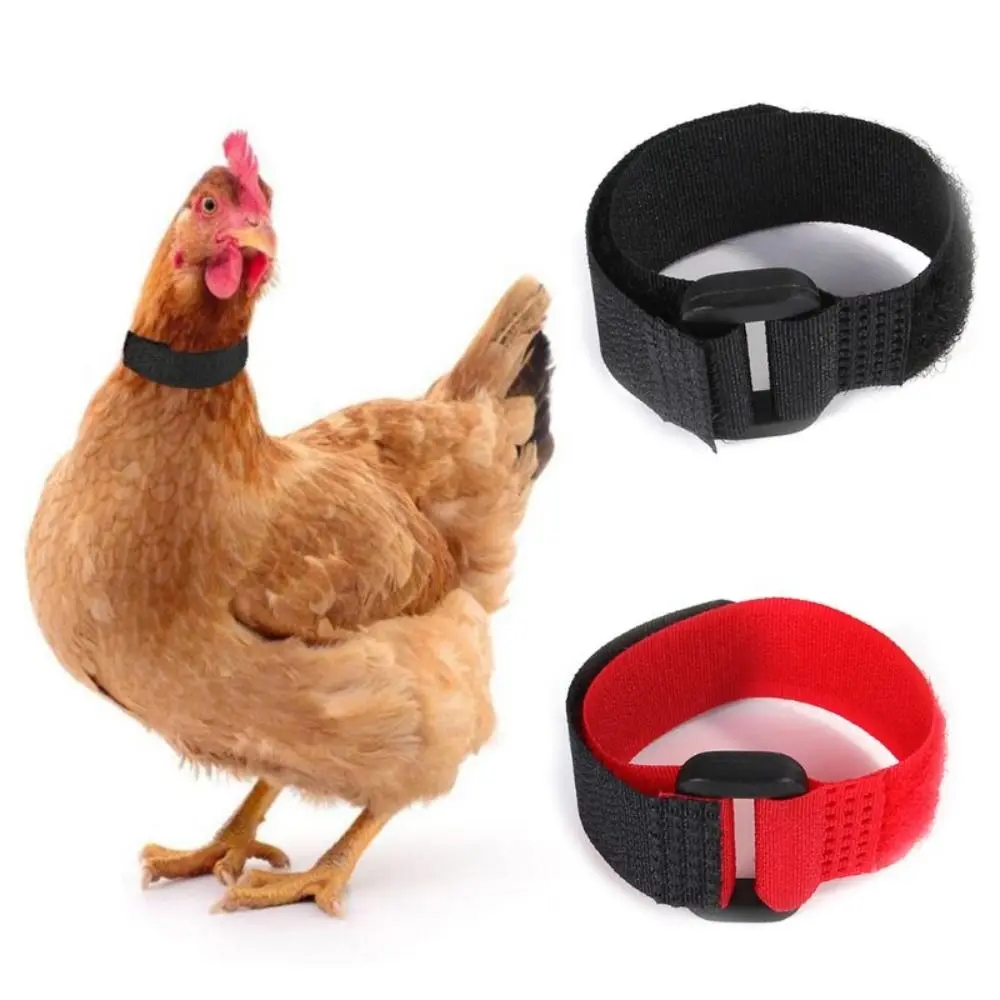 2PCS High Quality Poultry Neck Prevent Chickens from Crowing Chicken Collar Anti-Hook No Crow Rooster Collar Noise Free Neckband Collars