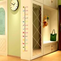 Height & Circumference Measuring Devices
